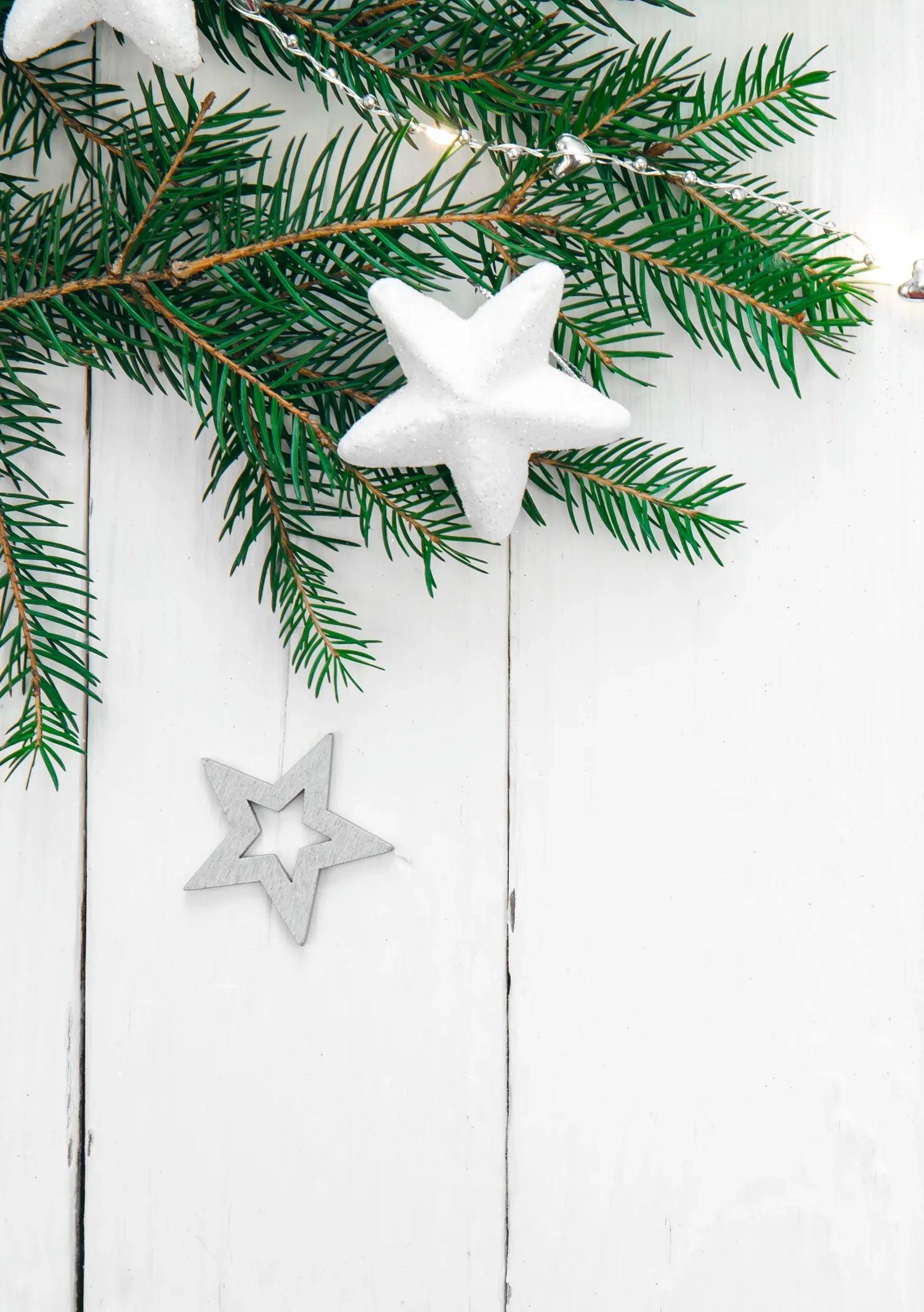 Seasonal Collections - My Moonbird