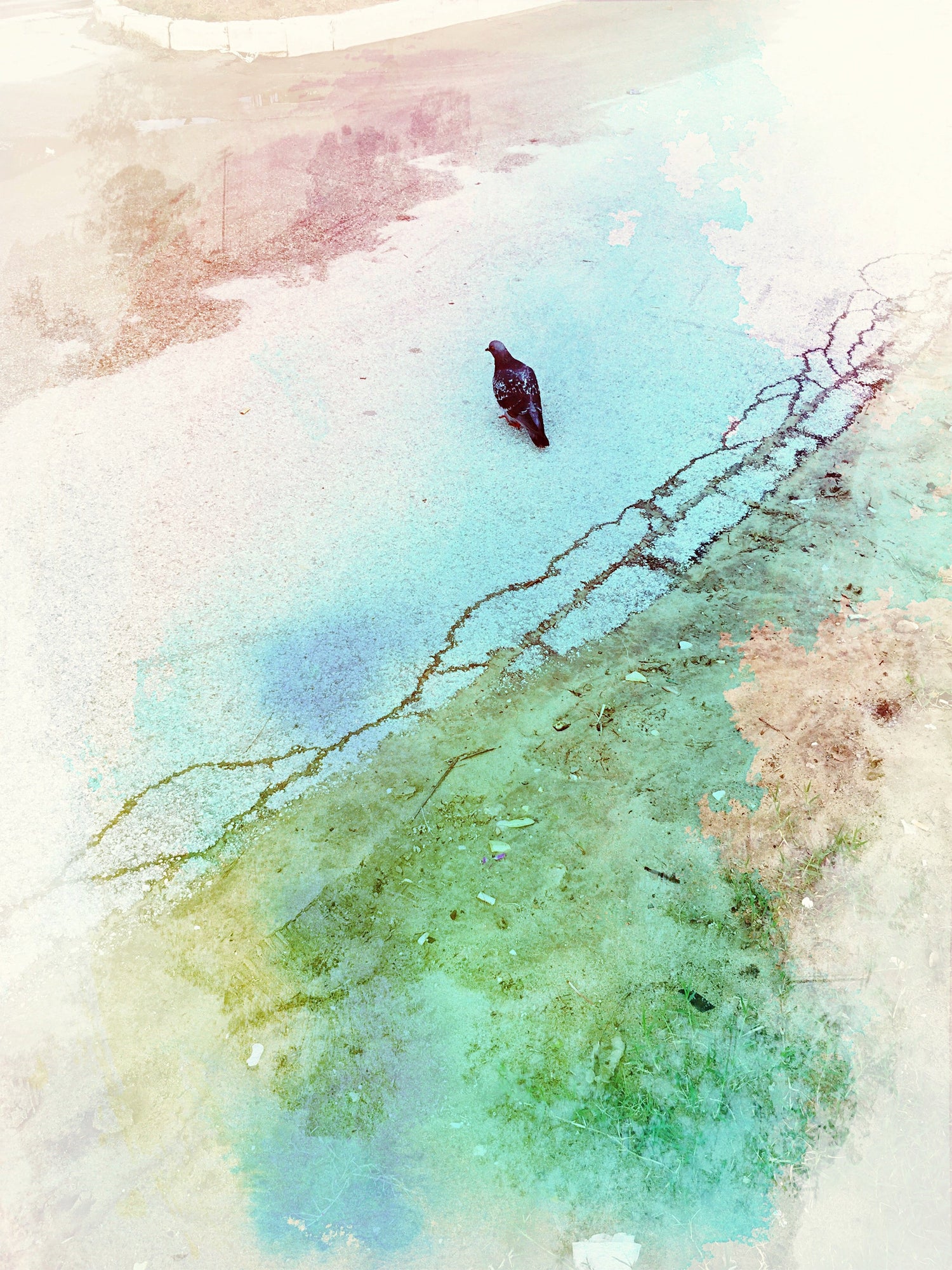Watercolour Paintings